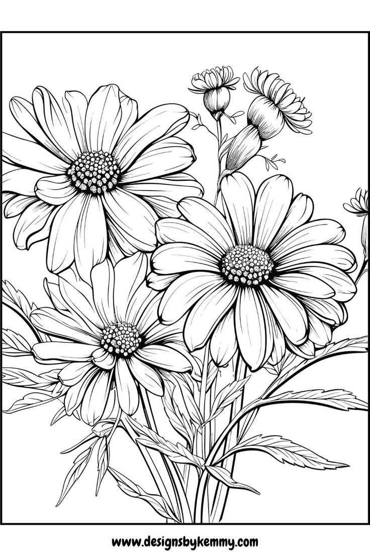 Relaxing Wildflowers Coloring Pages Coloring Pages For Adults Designs By Kemmy Relaxing Wildflowers Coloring Pages Coloring Pages For Adults Designs By Kemmy