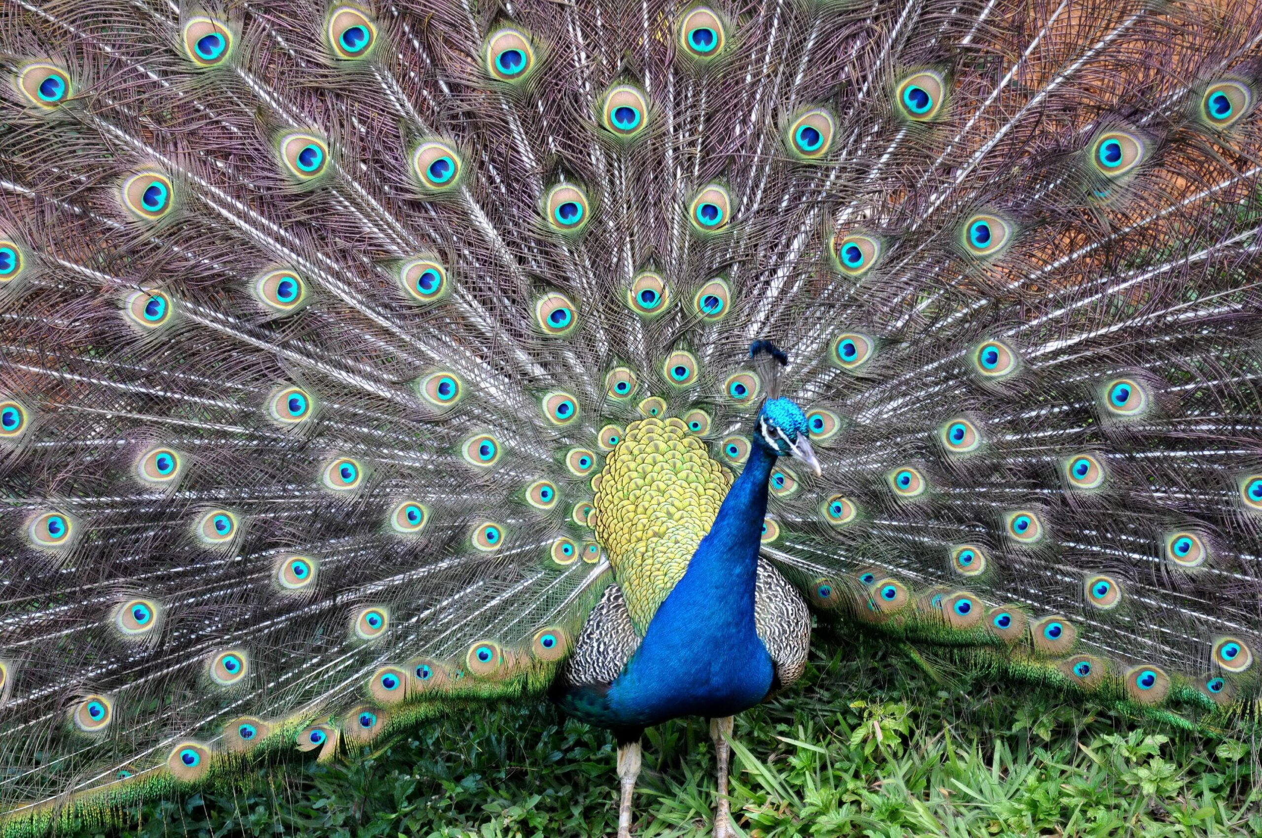 Rex Parker Does The NYT Crossword Puzzle Not so conservative Party FRI 8 22 25 Accessory For Overseas Travel Where Many Gather To Form A Line Camila With The Hit 2022 Album Rex Parker Does The NYT Crossword Puzzle Not so conservative Party FRI 8 22 25 Accessory For Overseas Travel Where Many Gather To Form A Line Camila With The Hit 2022 Album