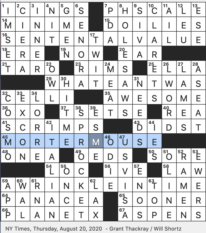 look forward to crossword clue