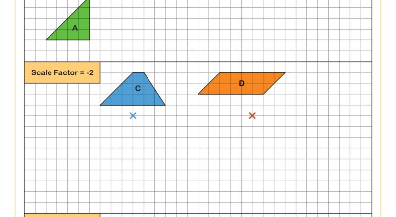 Scale Factors And Dilations Of Polygons B Worksheet 8th Grade PDF Worksheets Cazoom Math