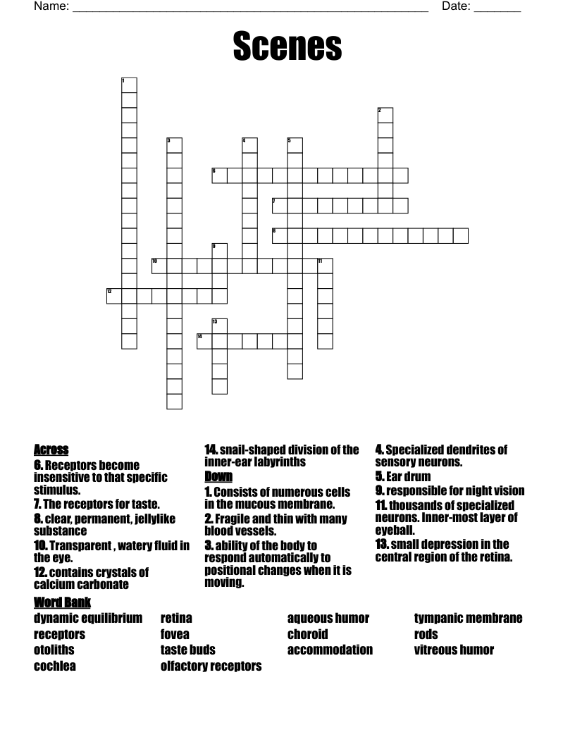 Scenes Crossword WordMint Scenes Crossword WordMint