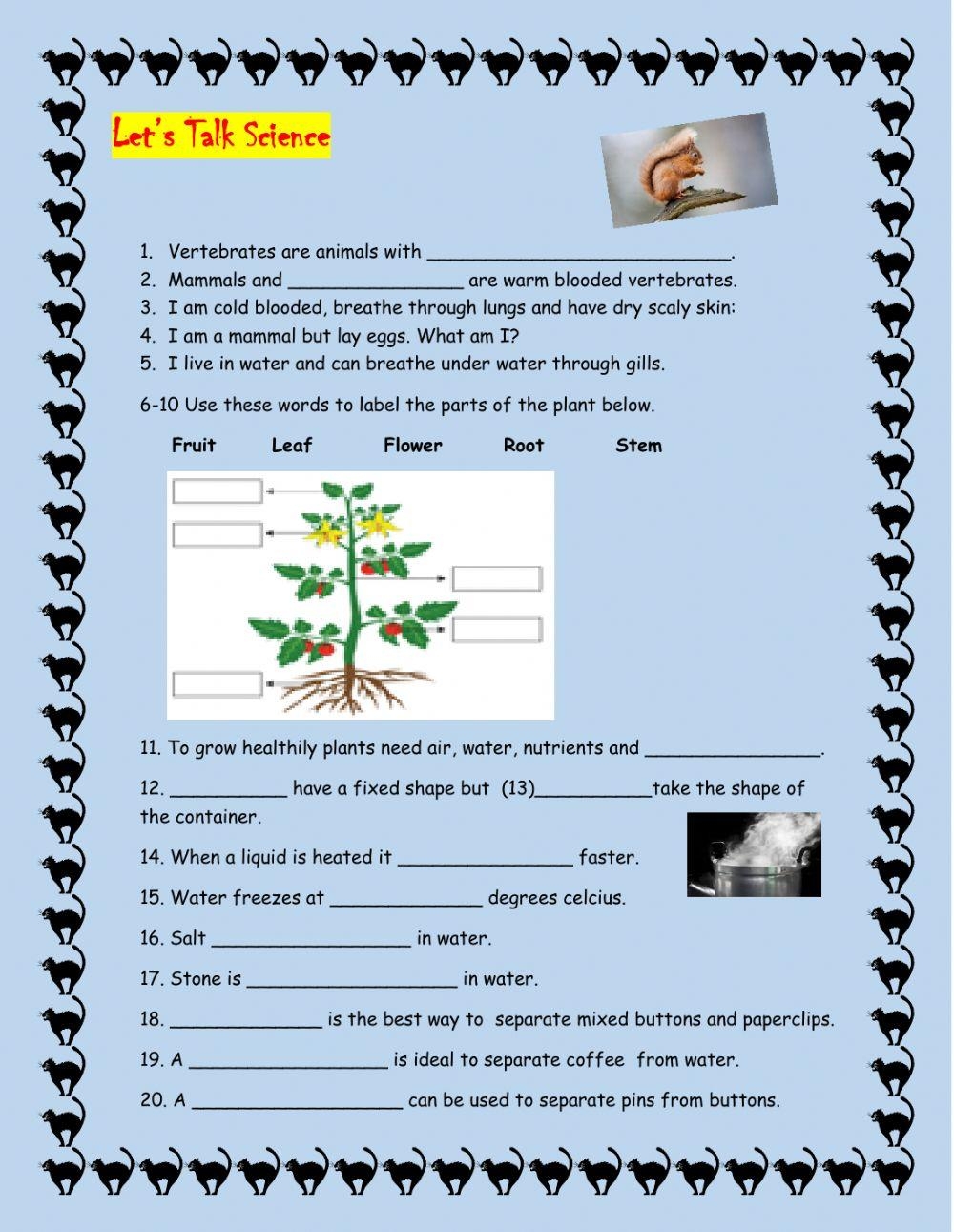 4th grade science worksheets 4th grade science worksheets