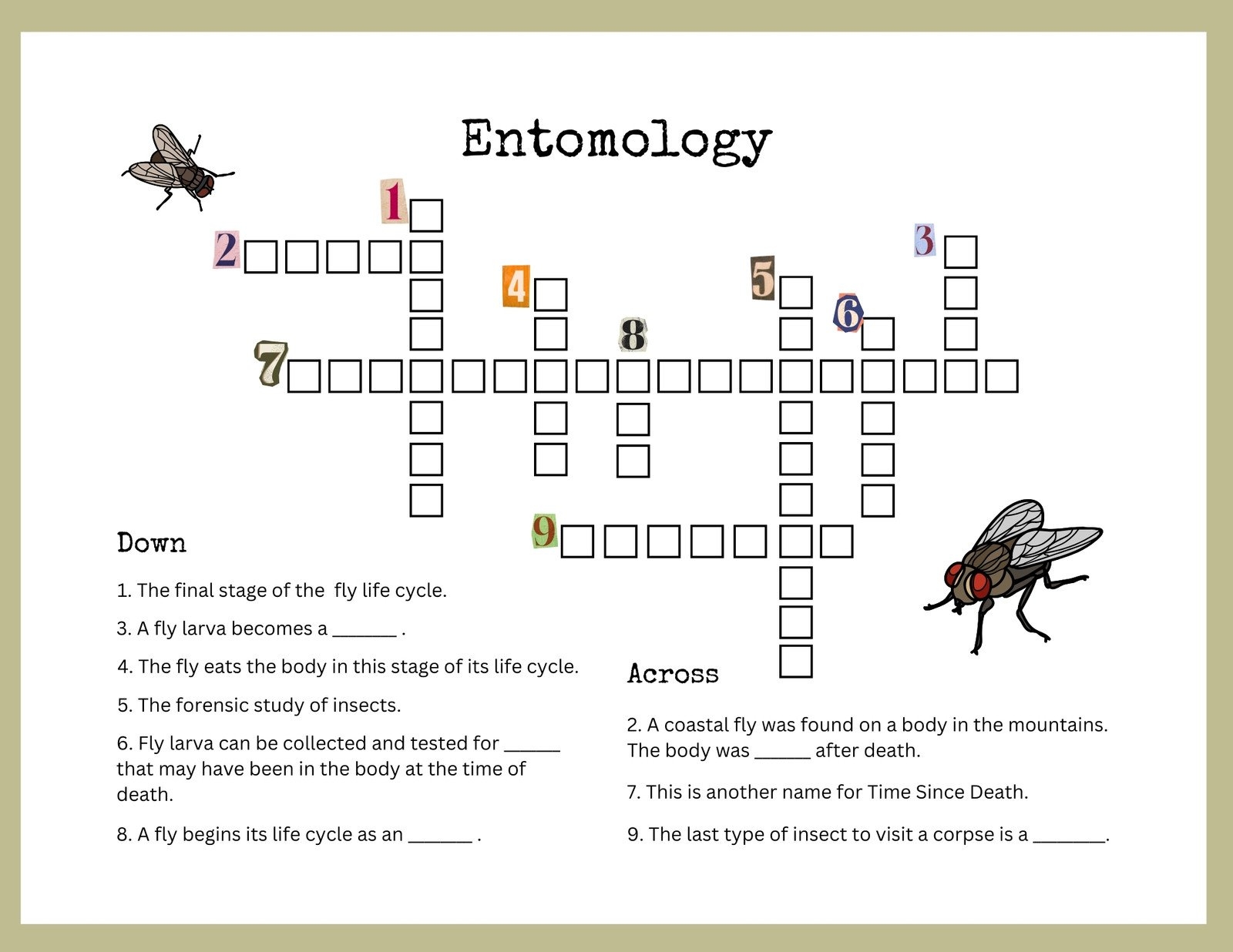 Science Of Curiosity Canva Science Of Curiosity Canva