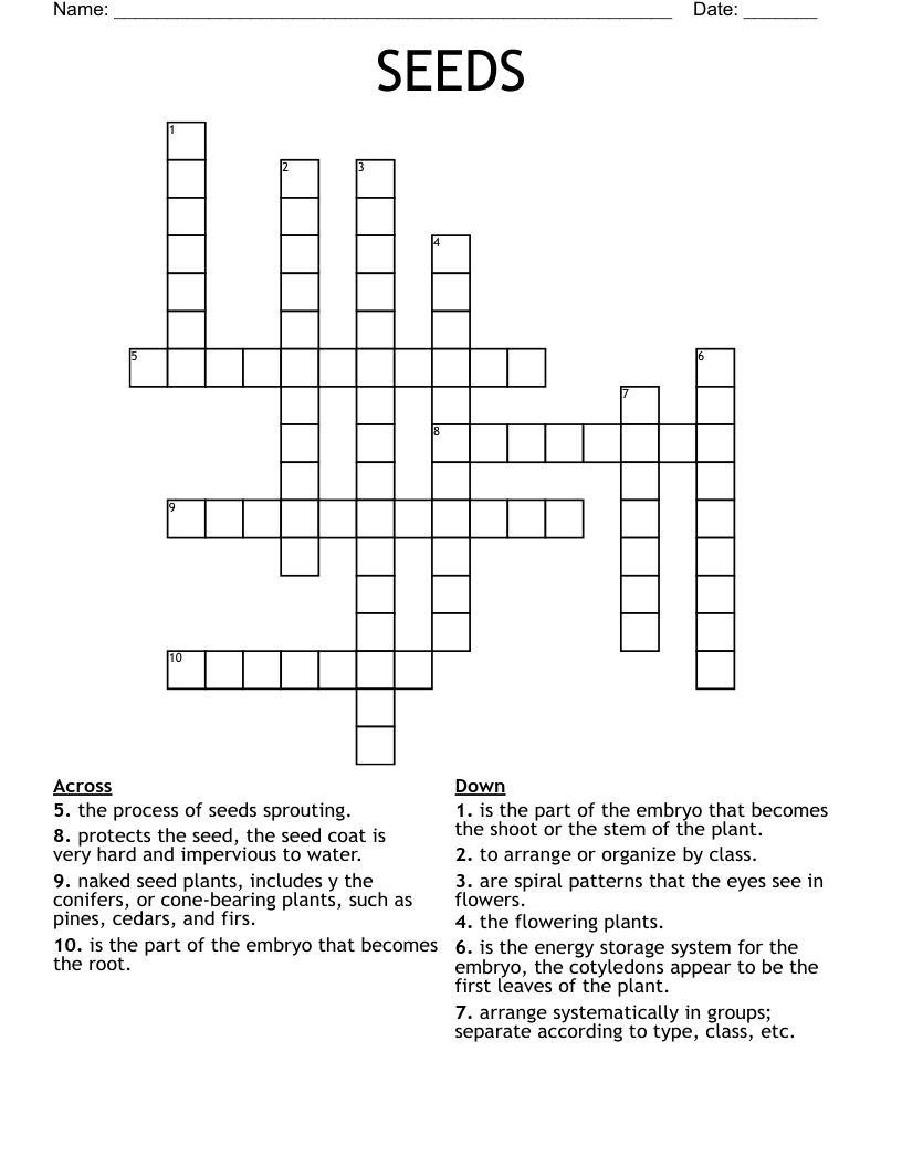 SEEDS Crossword WordMint