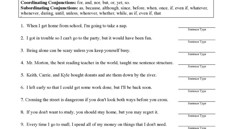 Sentence Types Worksheet Sentence Structure Activity