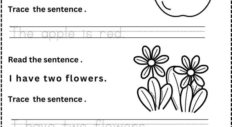 Sentence Writing Practice Worksheets Kindergarten