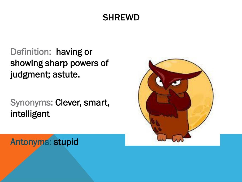 Shrewd Food Crisp Prtn Sour Cream Oni