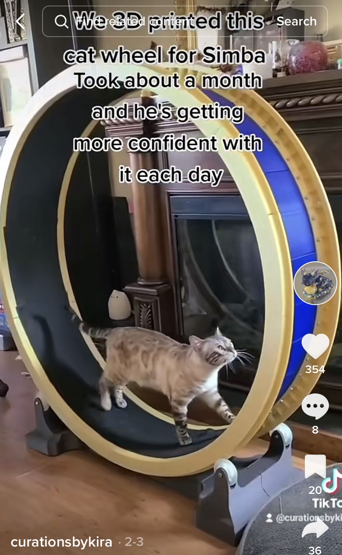 Sia Josephine My 3D Printed Cat Wheel