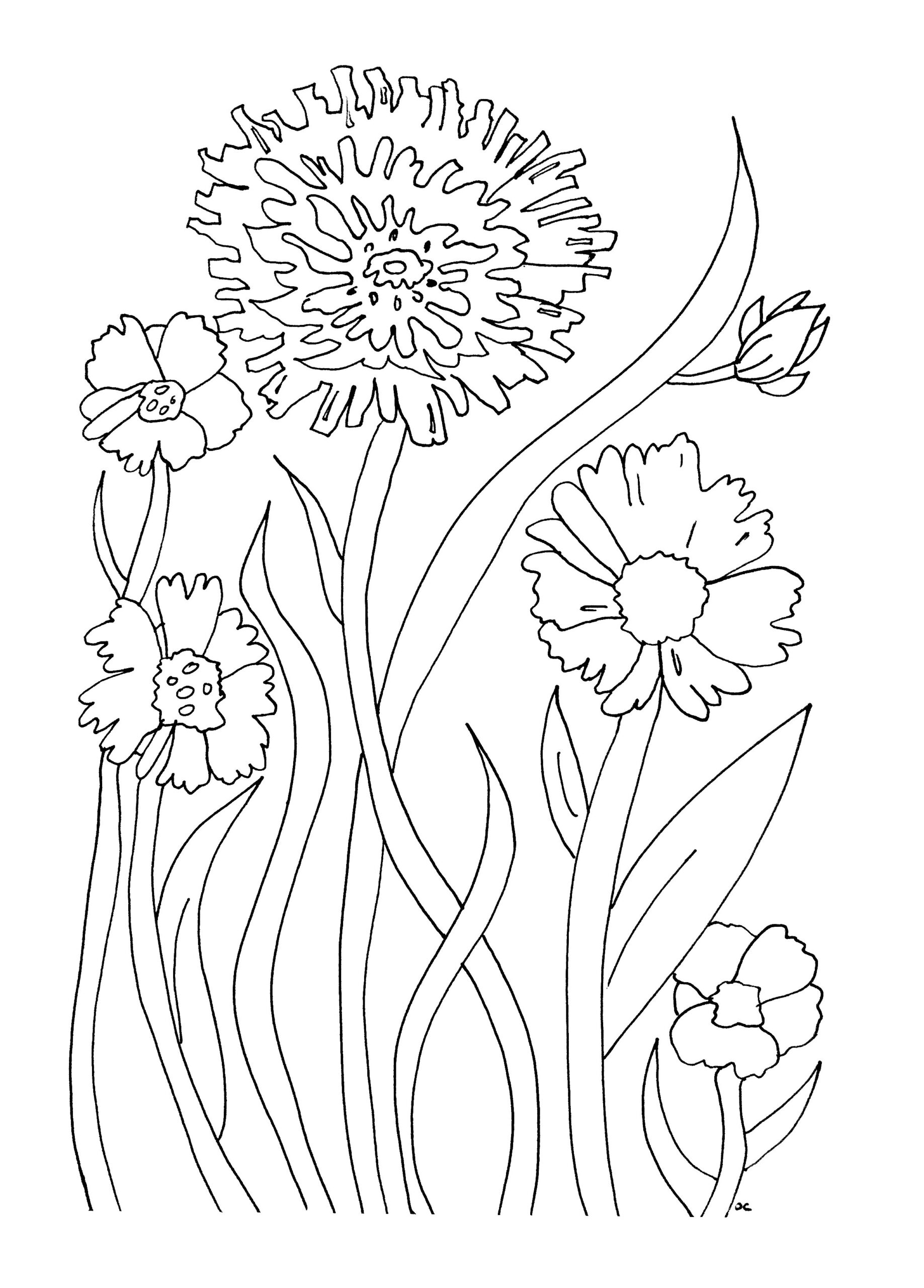 simple coloring pages for adults simple coloring pages for adults