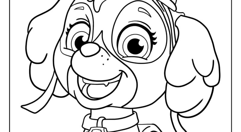 Skye Paw Patrol Coloring Pages Lesson Tutor