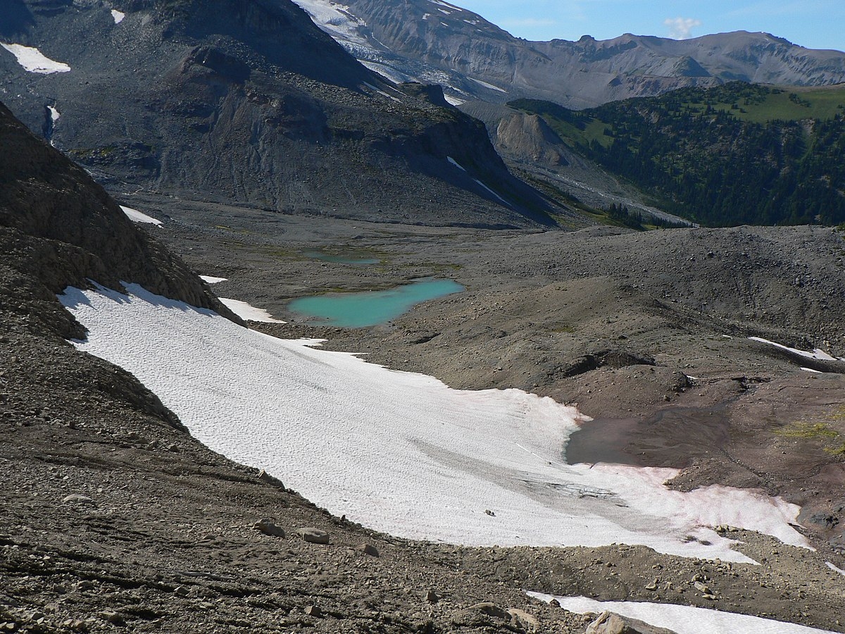 Snow Field Wikipedia