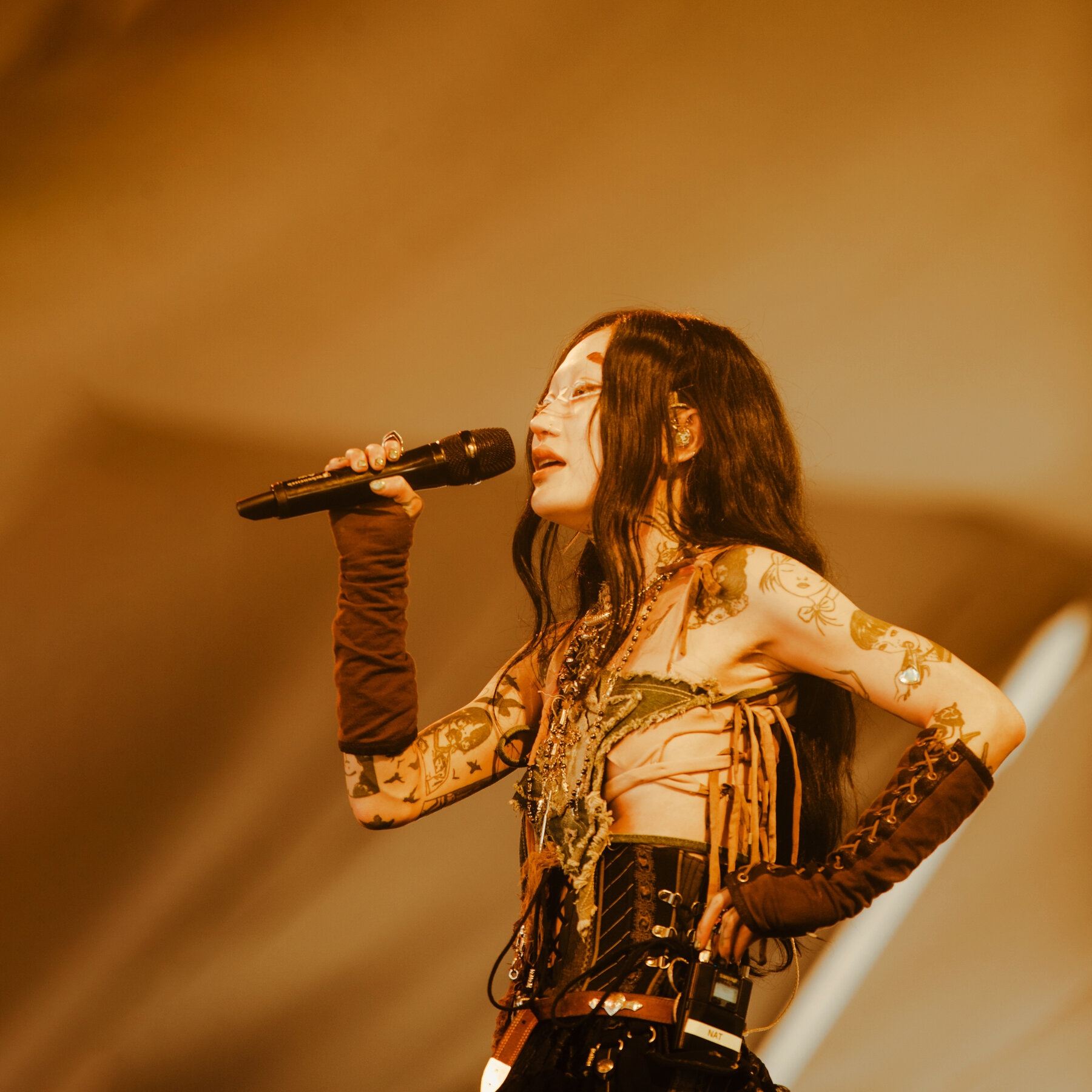 Songs For The Heat Of Peak Summer Welcome To Lizard Season The New York Times Songs For The Heat Of Peak Summer Welcome To Lizard Season The New York Times