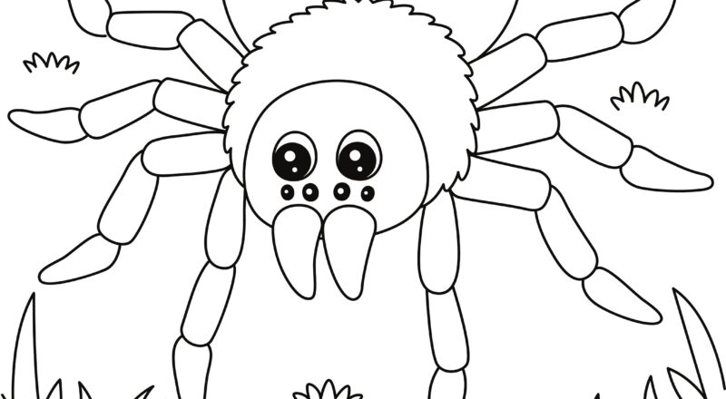Spider Coloring Page DIGITAL DOWNLOAD Printable Coloring Page Etsy