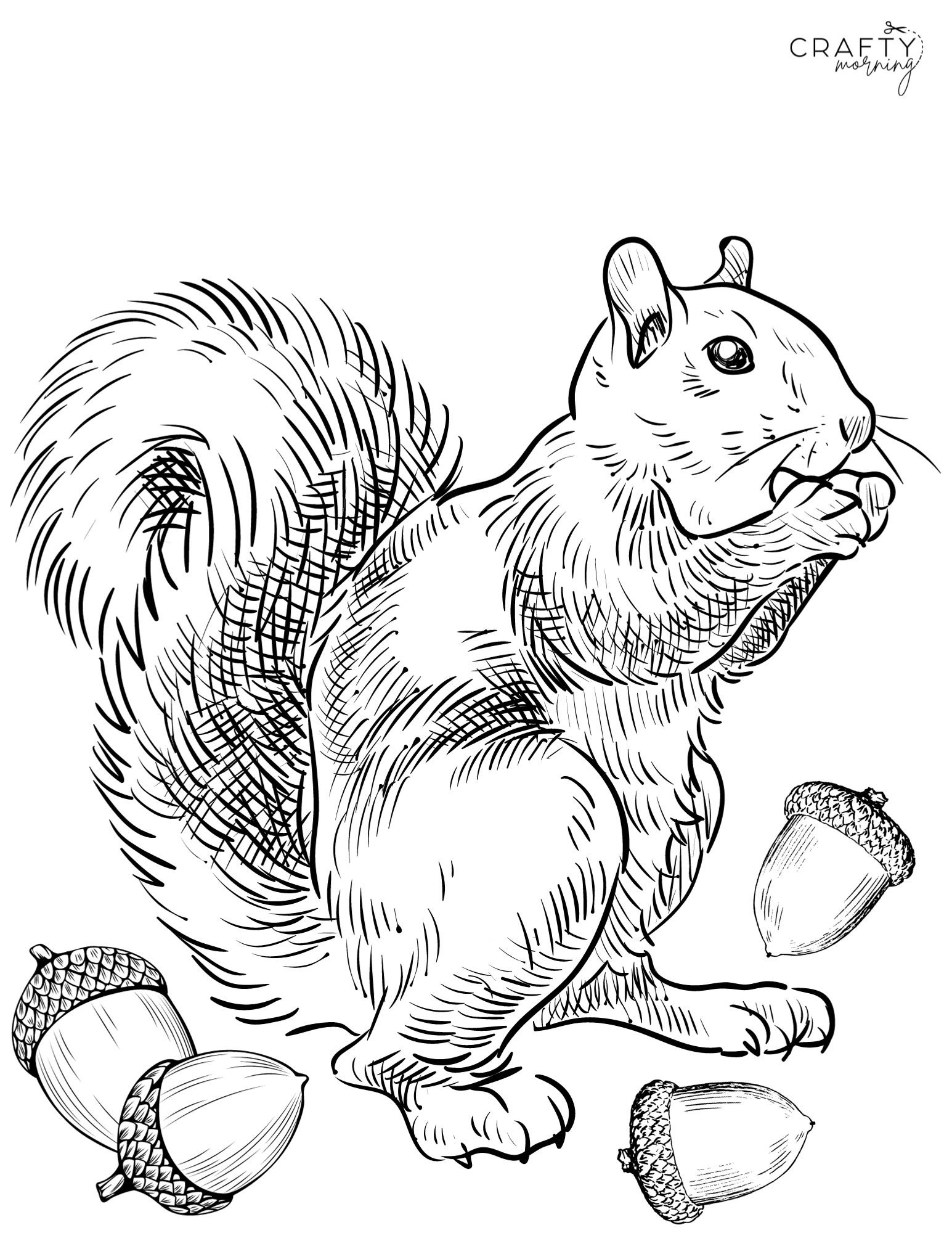 Squirrel Coloring Pages To Print Crafty Morning