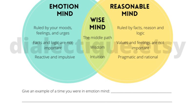 States Of Mind Wise Mind Worksheet Etsy