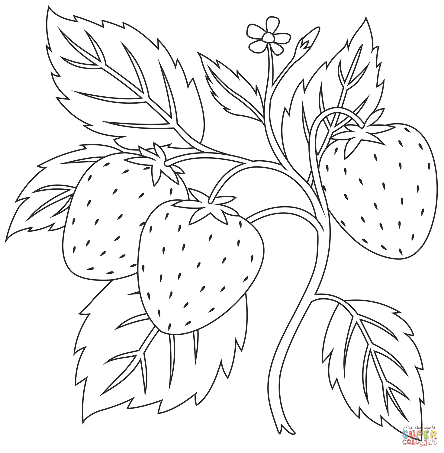 Strawberry Coloring Page Free Printable