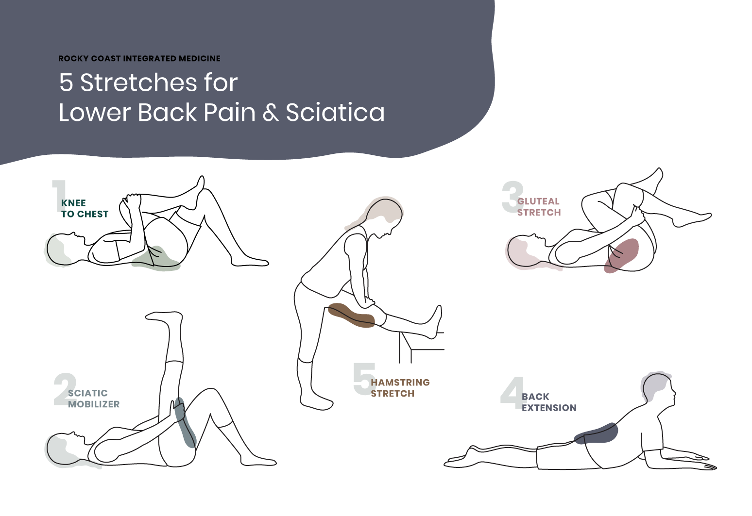 Stretches Exercises For Lower Back Pain And Sciatica Rocky Coast Integrated Medicine Portland Maine Rocky Coast Integrated Medicine Portland Maine Stretches Exercises For Lower Back Pain And Sciatica Rocky Coast Integrated Medicine Portland Maine Rocky Coast Integrated Medicine Portland Maine