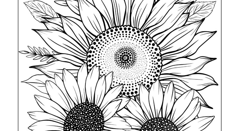 Sunflower Sunflower Colouring Sheet Sunflower Coloring Download Colouring Colour Therapy Etsy