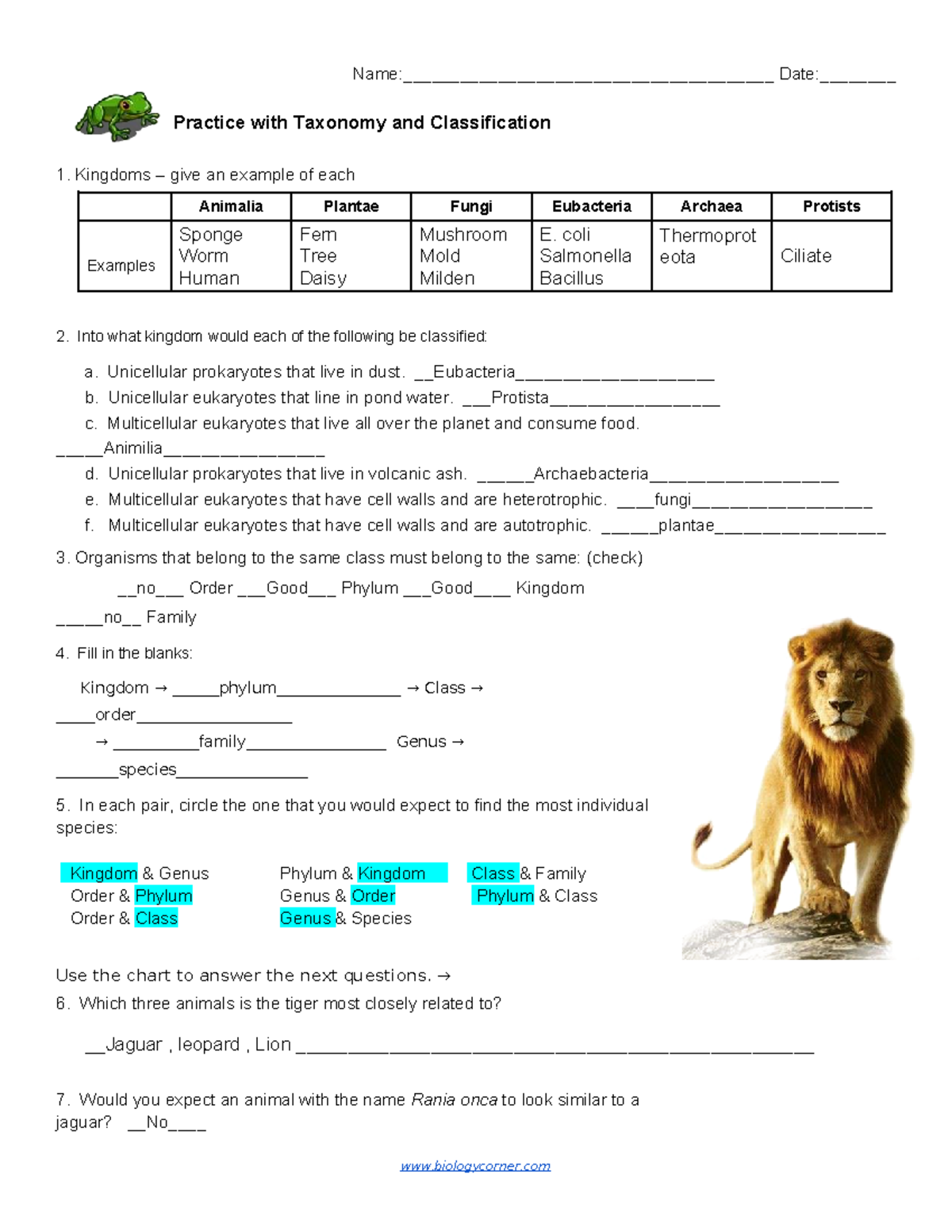Taxonomy Classification Practice Worksheet For Biology 101 Studocu Taxonomy Classification Practice Worksheet For Biology 101 Studocu