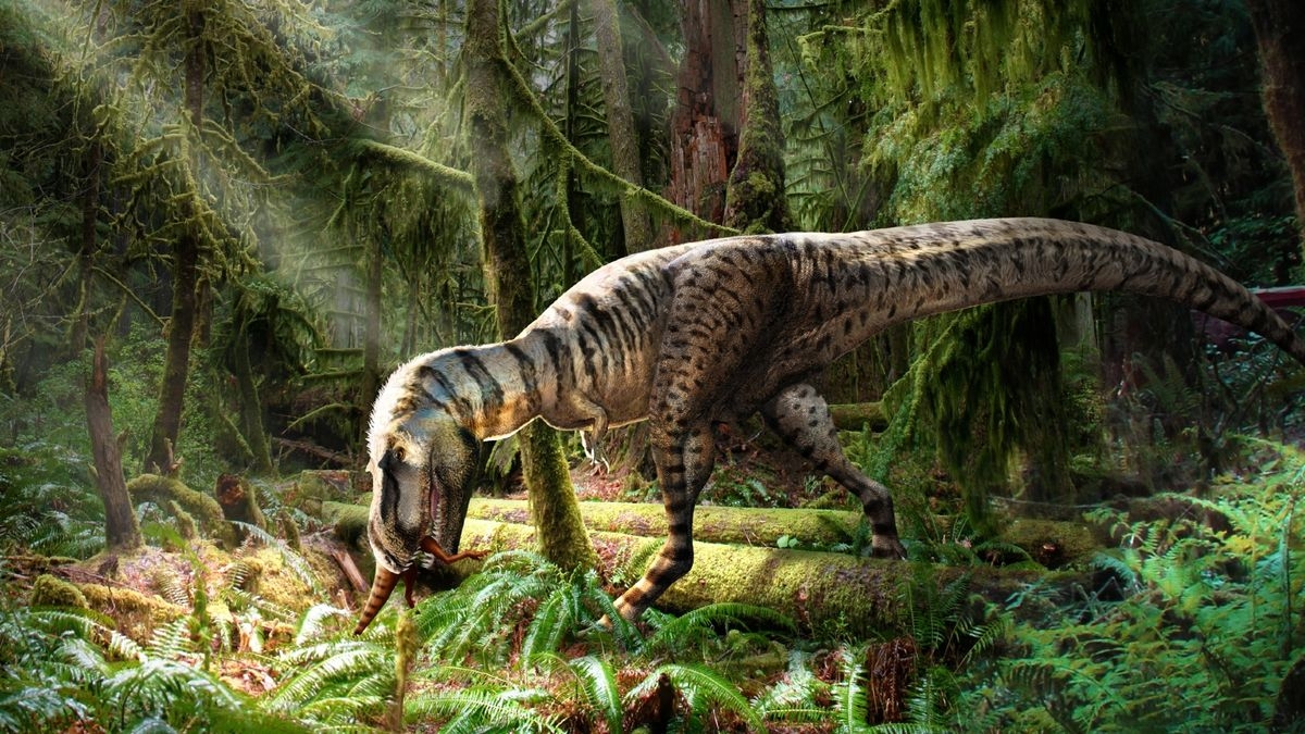 Teenage Tyrannosaurs Gorged On Dino drumsticks 1st of their kind Fossils Show Live Science