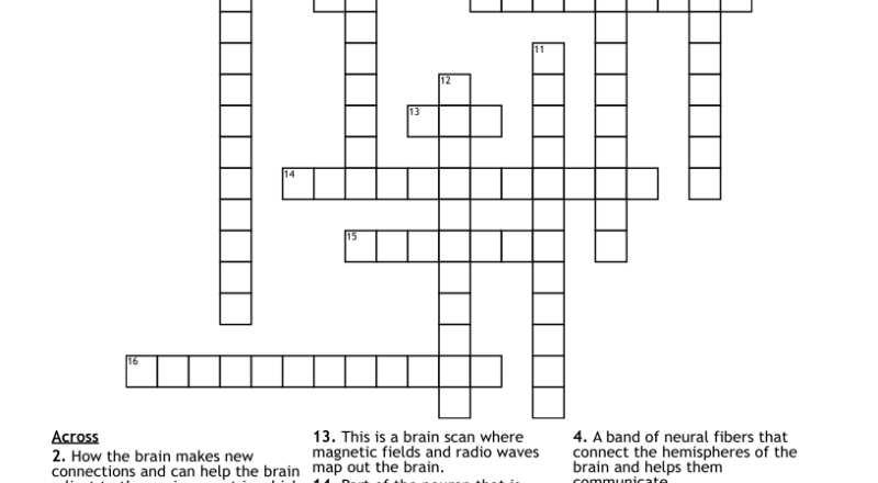 The Brain Crossword WordMint