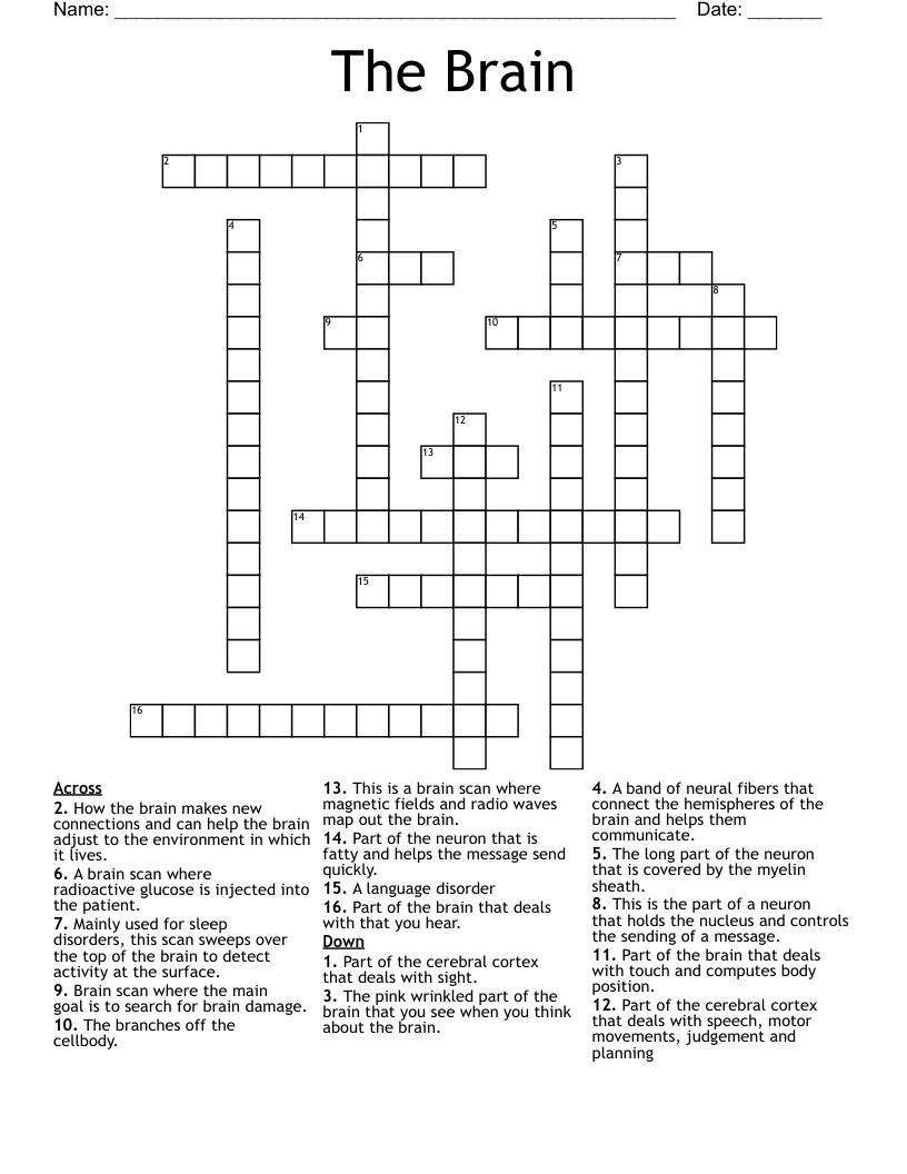 The Brain Crossword WordMint The Brain Crossword WordMint