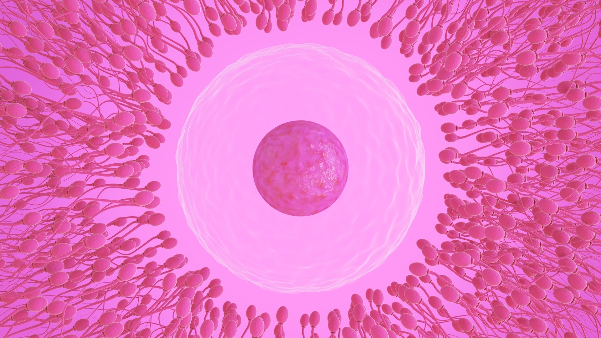 The Choice Of Sperm Is entirely Up To The Egg So Why Does The Myth Of racing Sperm Persist Live Science