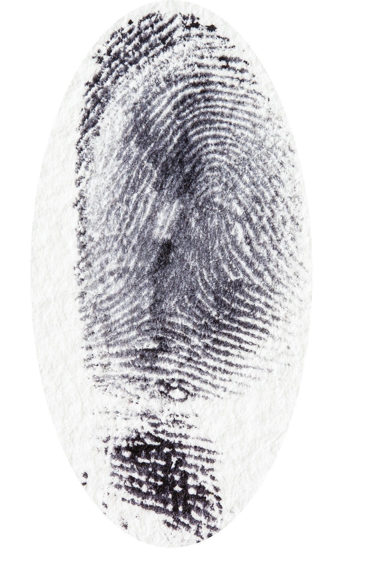 The Courier 1440 By The Courier Online Issuu