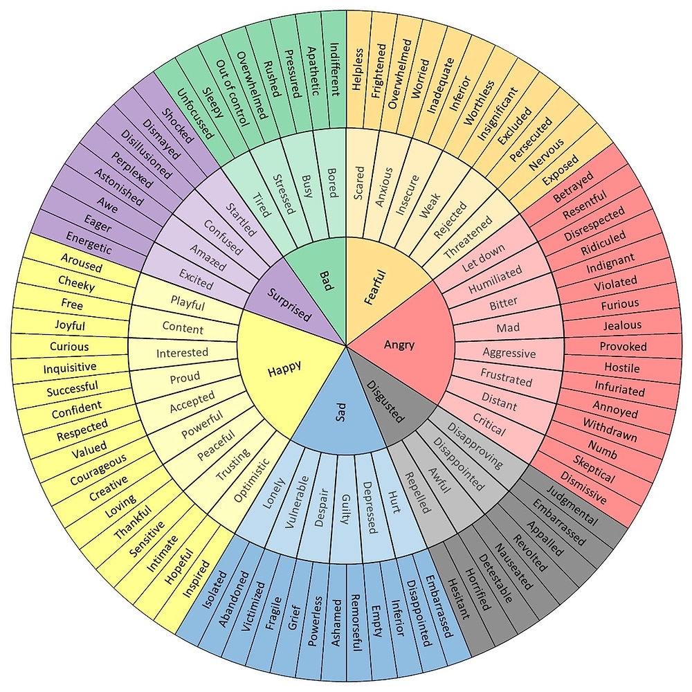 The Feelings Wheel The Feelings Wheel