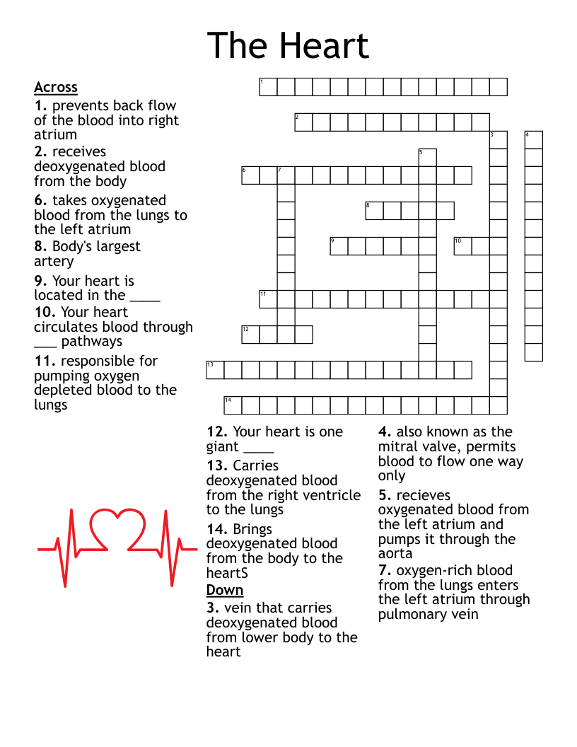 The Heart Crossword WordMint