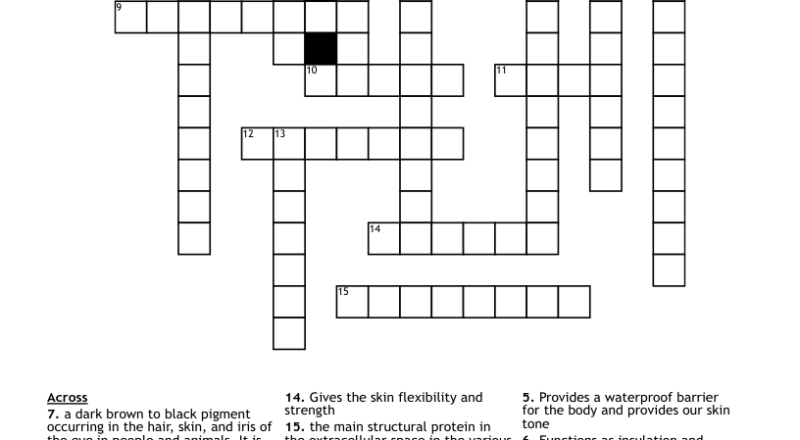 The Integumentary System Crossword WordMint