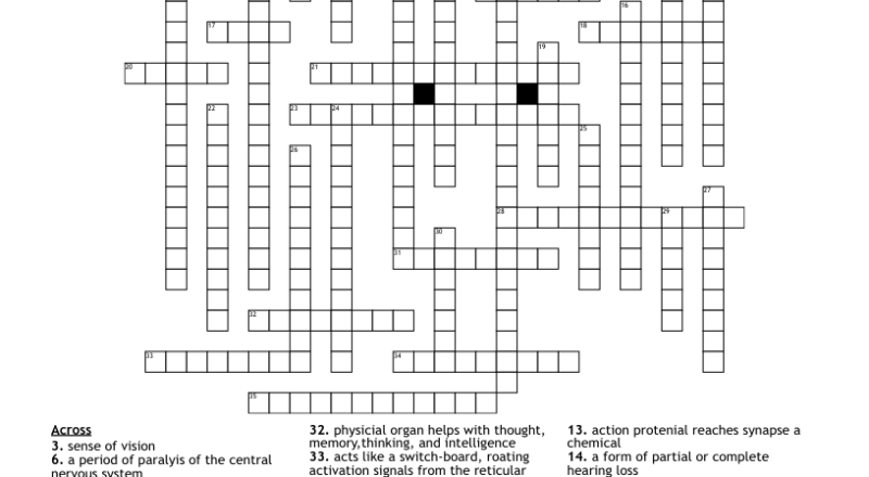 The Nervous System 2 Crossword WordMint