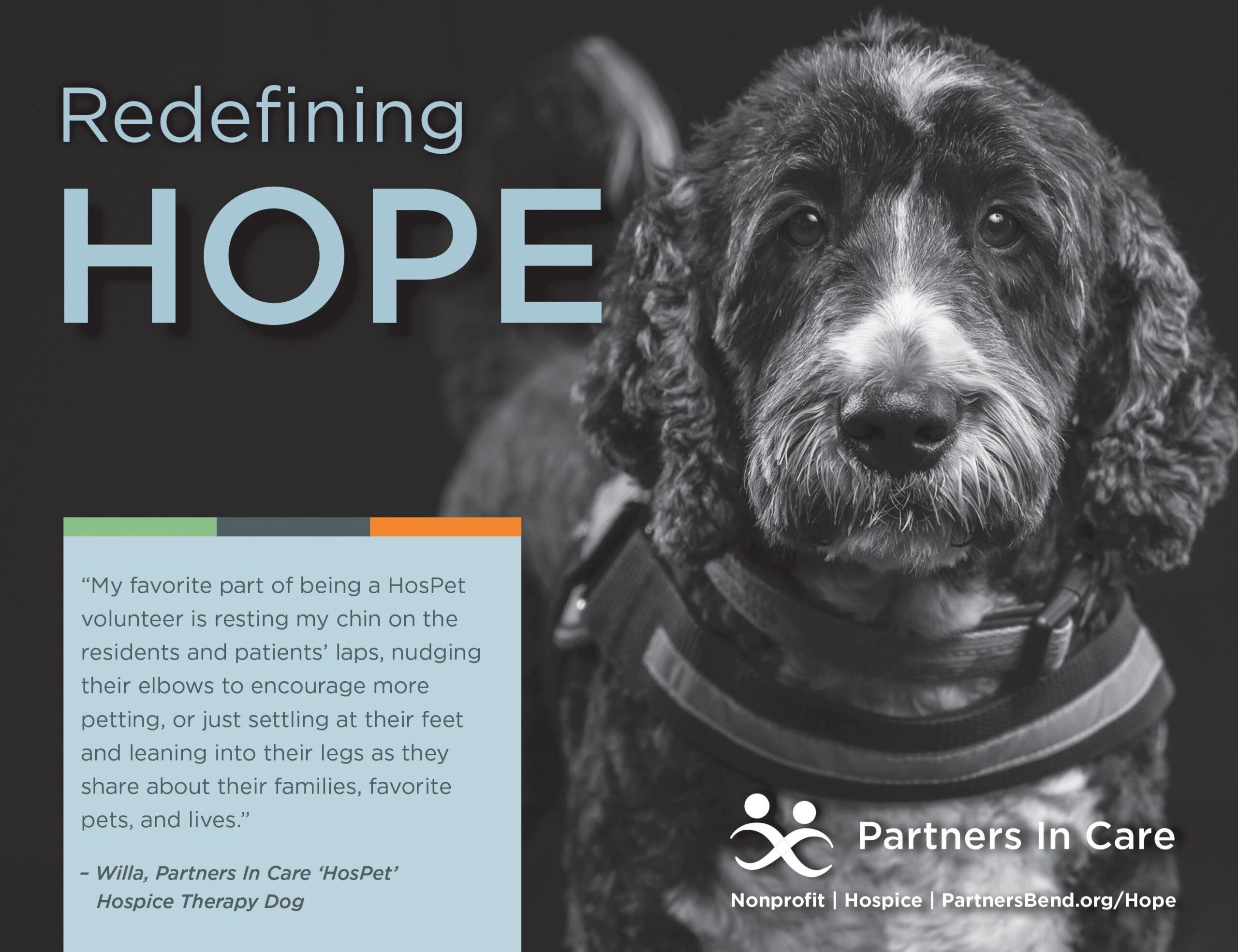 The Nugget Newspaper Vol XLVII No 24 2024 06 12 By Nugget Newspaper Issuu The Nugget Newspaper Vol XLVII No 24 2024 06 12 By Nugget Newspaper Issuu