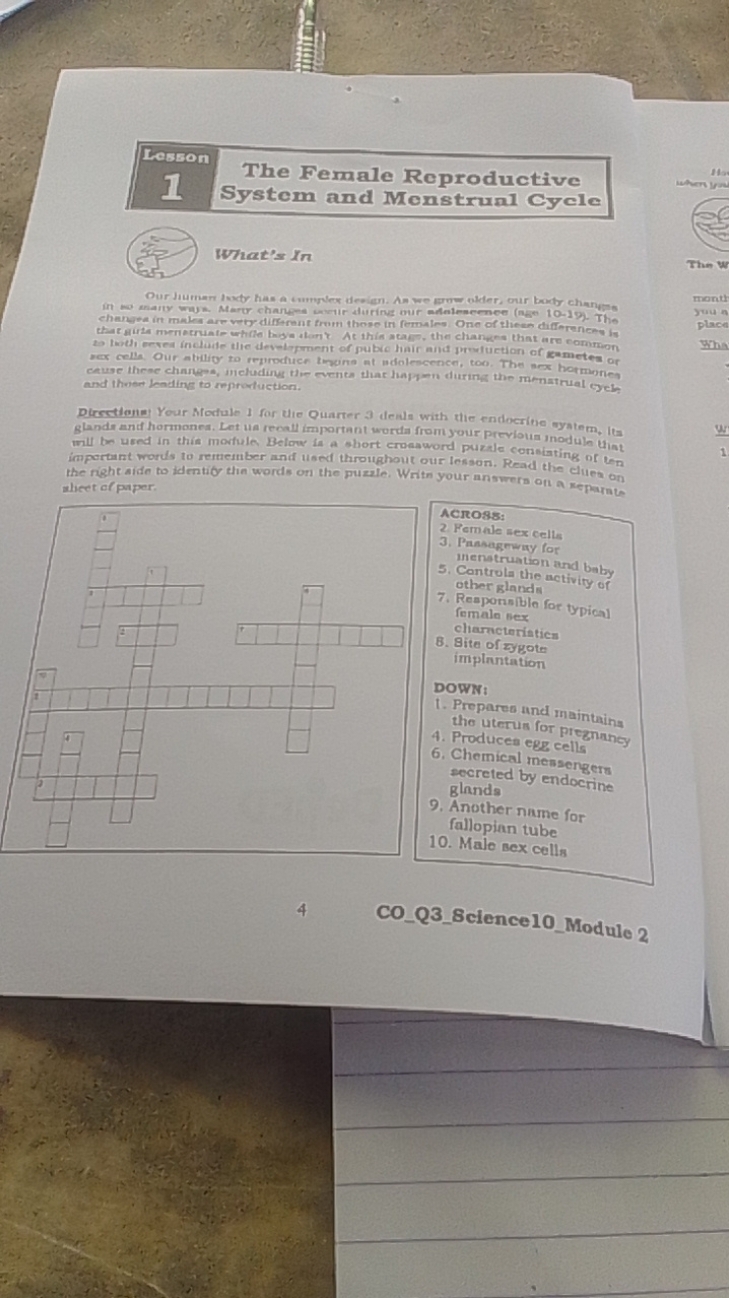 The Provided Text Discusses The Female Reproductive System And Menstrual 