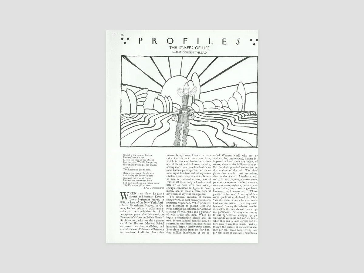 The Staffs Of Life I The Golden Thread The New Yorker The Staffs Of Life I The Golden Thread The New Yorker