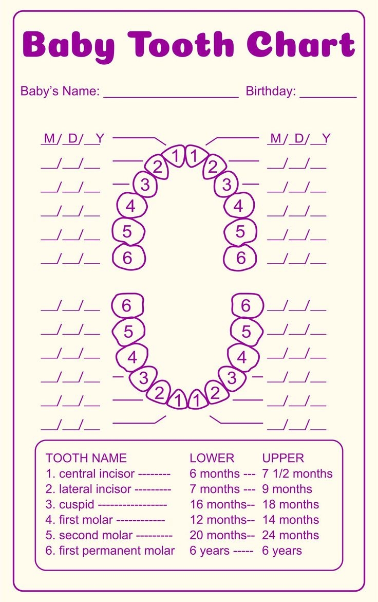 Tooth Chart Full Sheet 15 Free PDF Printables Printablee Tooth Chart Full Sheet 15 Free PDF Printables Printablee