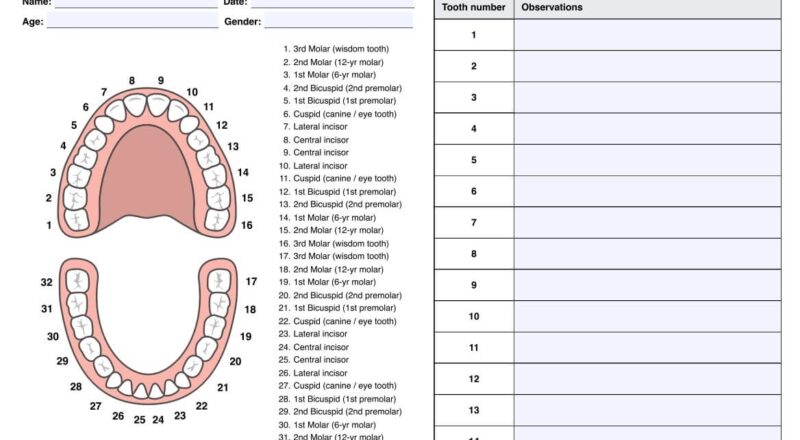 Tooth Charts