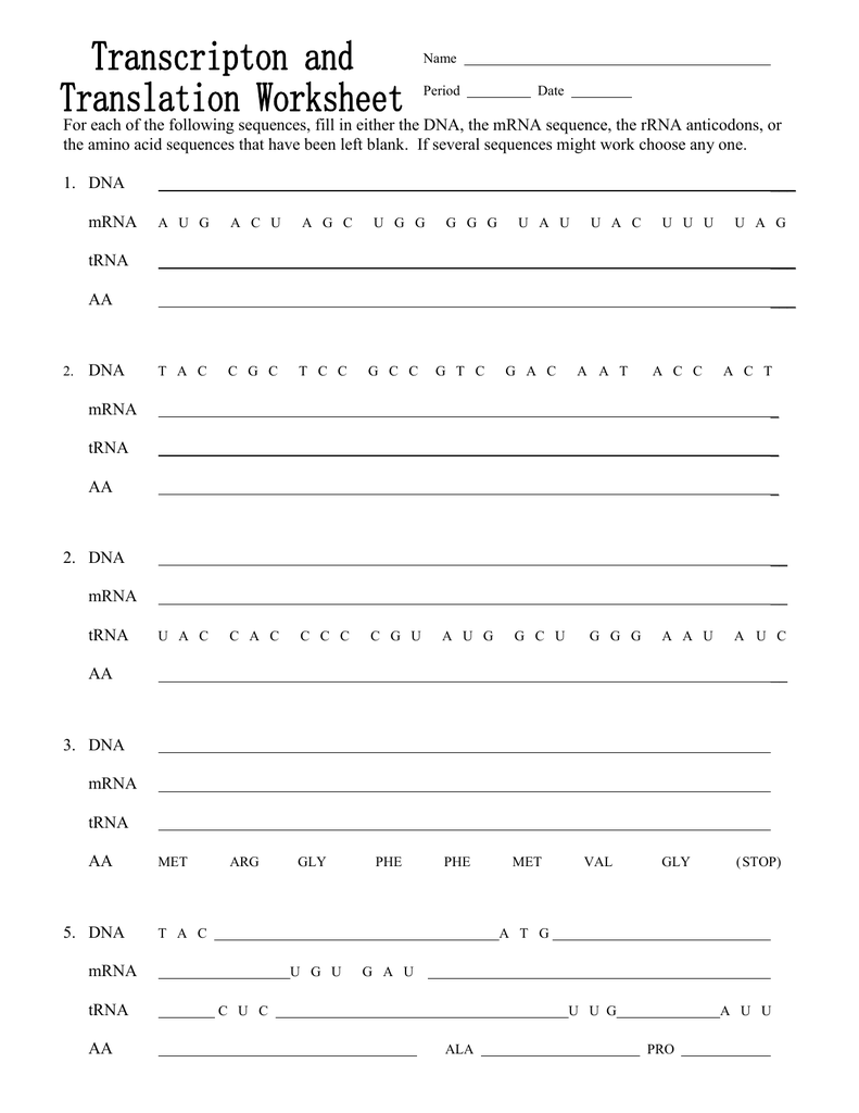 Transcription And Translation Worksheet Transcription And Translation Worksheet