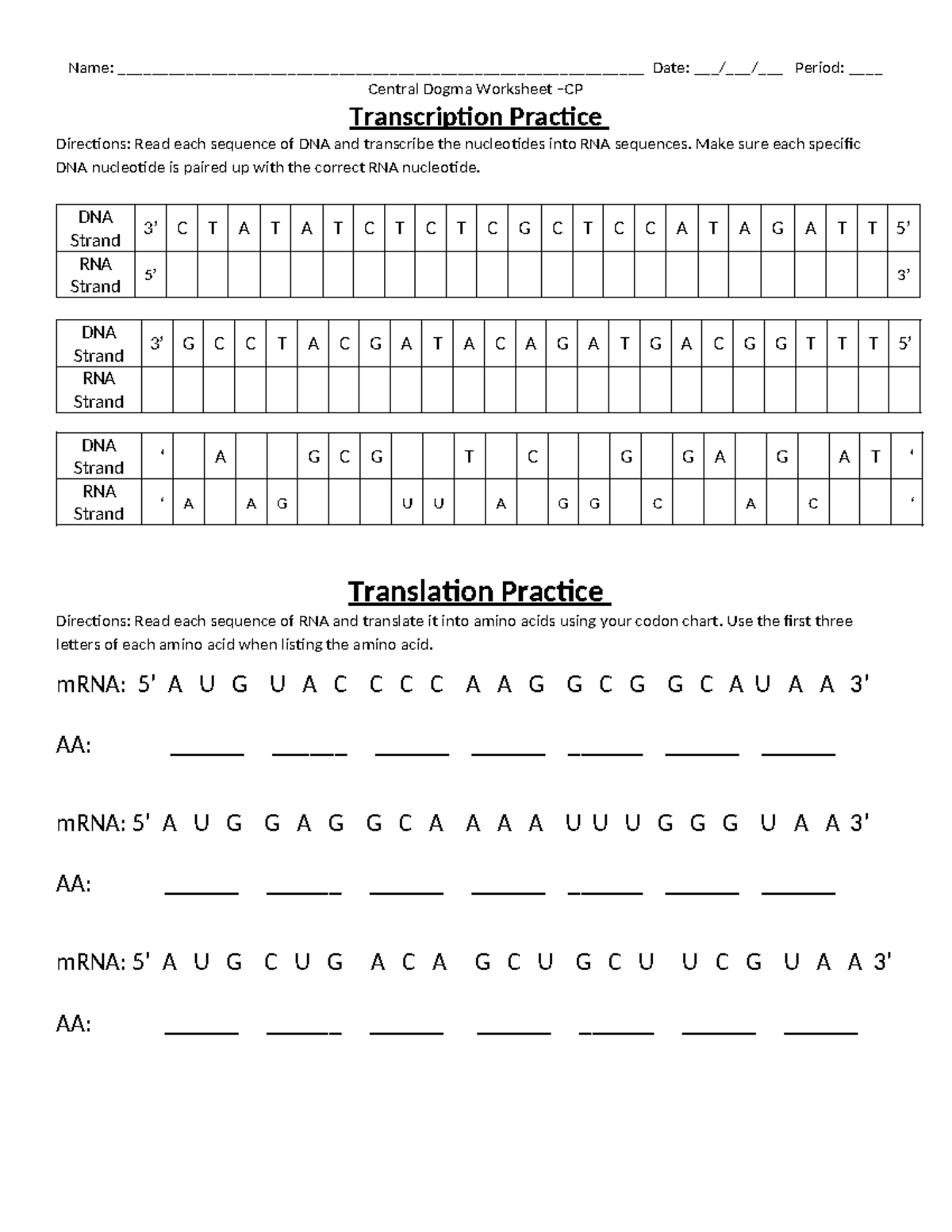 biology transcription and translation worksheet biology transcription and translation worksheet