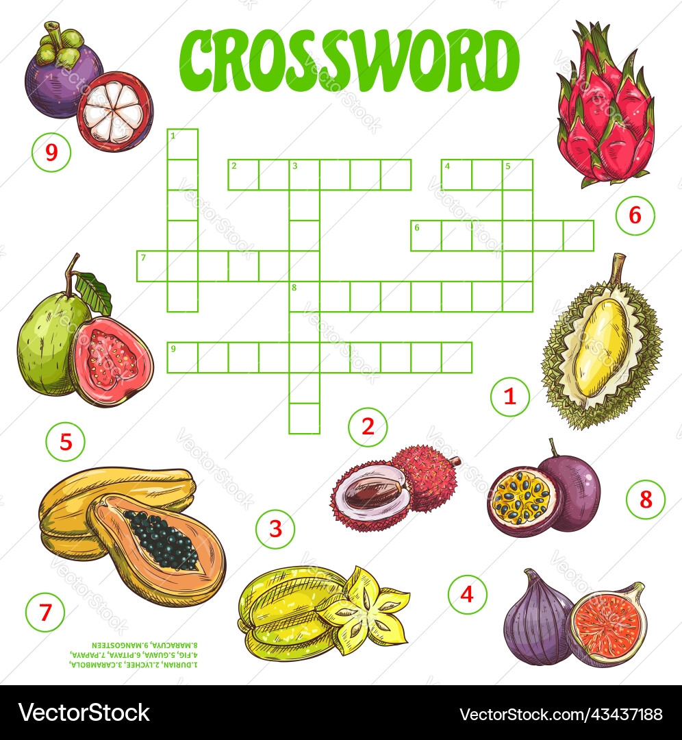 Tropical Fruit Crossword Puzzle Worksheet Royalty Free Vector VectorStock