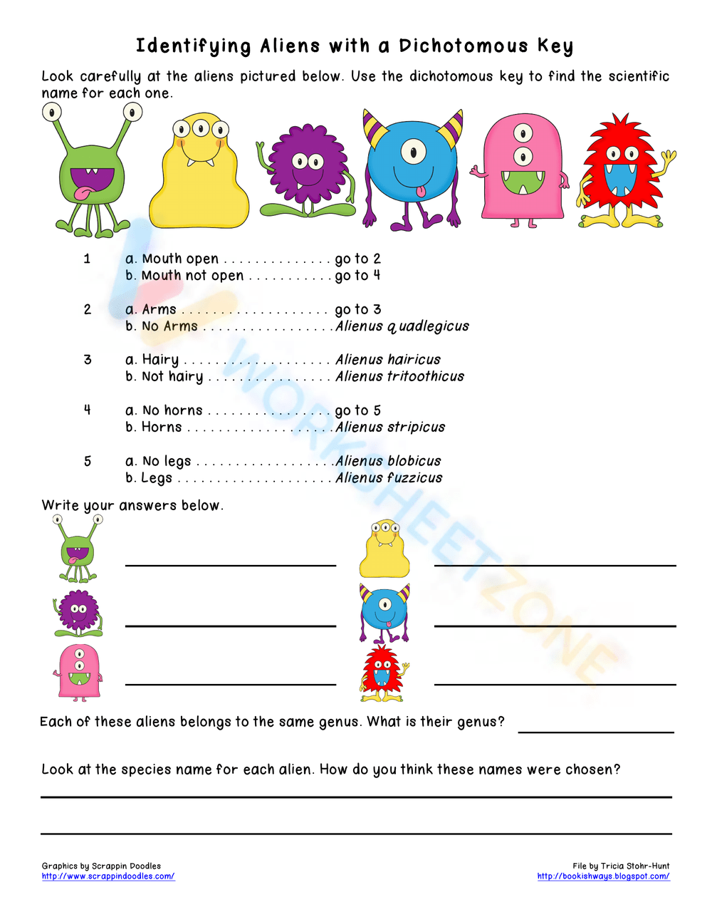 Using A Dichotomous Key Worksheet