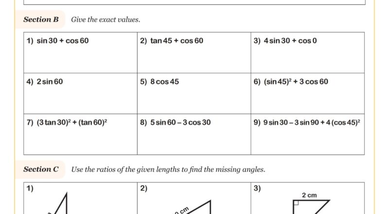 Using Special Right Triangles Worksheet PDF Printable Geometry Worksheet Cazoom Math
