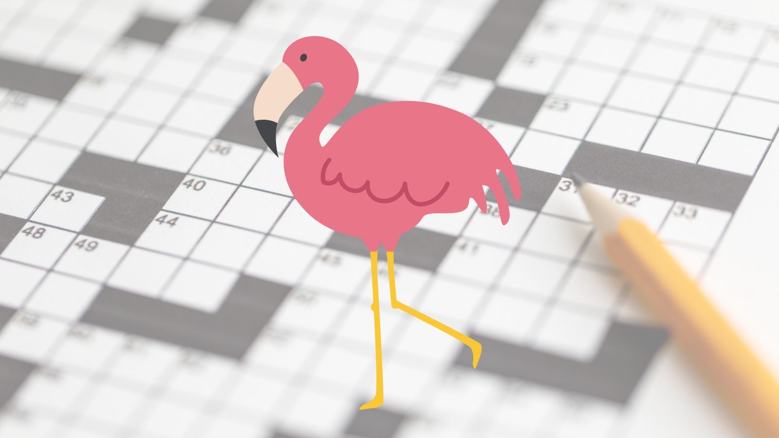 marsh bird crossword puzzle marsh bird crossword puzzle