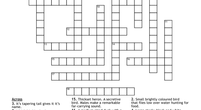 Water Birds Crossword WordMint