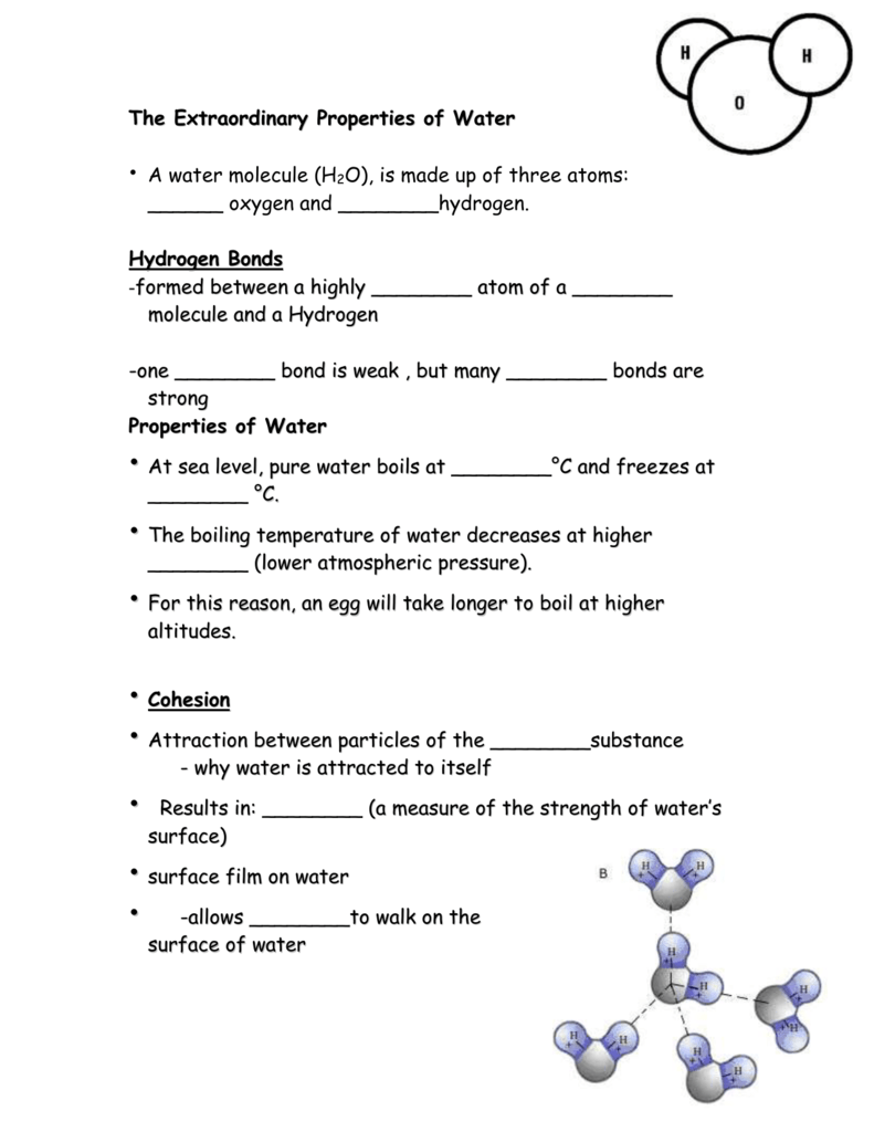properties of water worksheet