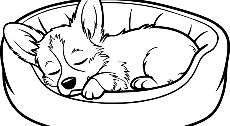 Welsh Corgi Puppy Sleeping Coloring Page Easy Drawing Guides
