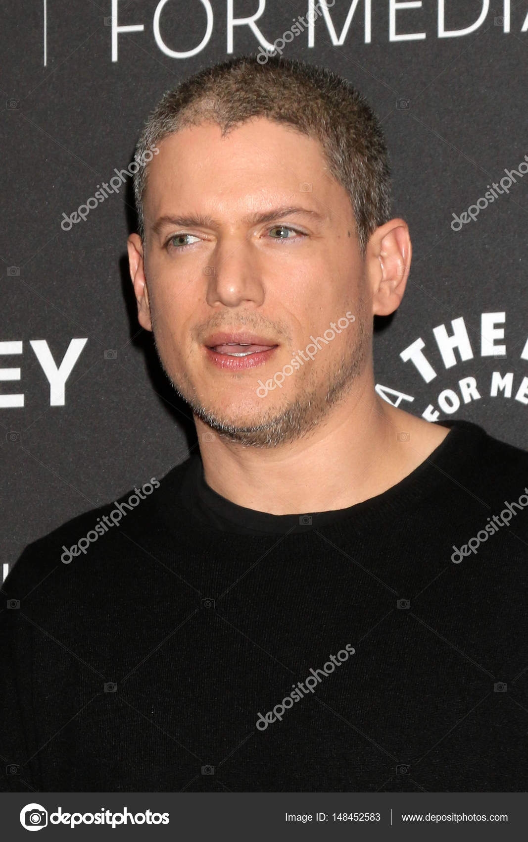 Wentworth Miller The Journey Of A Versatile Actor Poze Rezolutie Mre Ctor Poz 17 Din 153