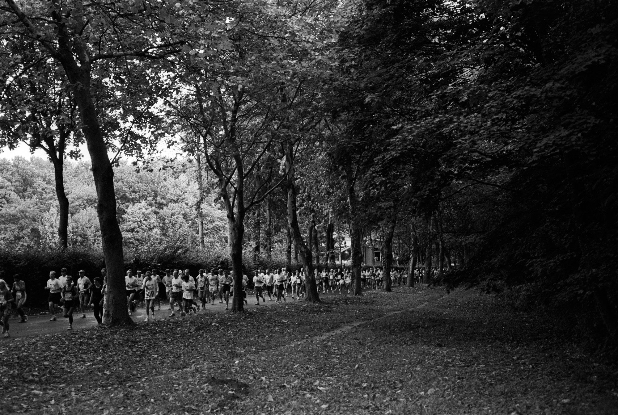 nature photography perhaps crossword clue