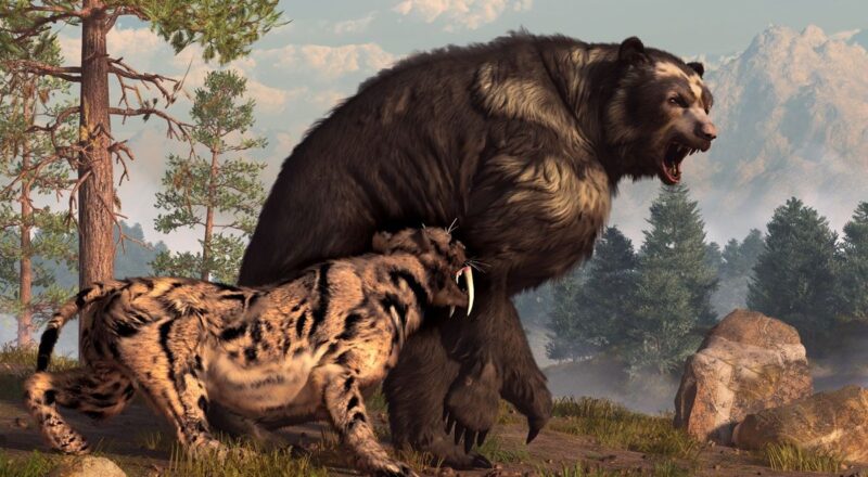 What Were The Largest Predators In North America Live Science