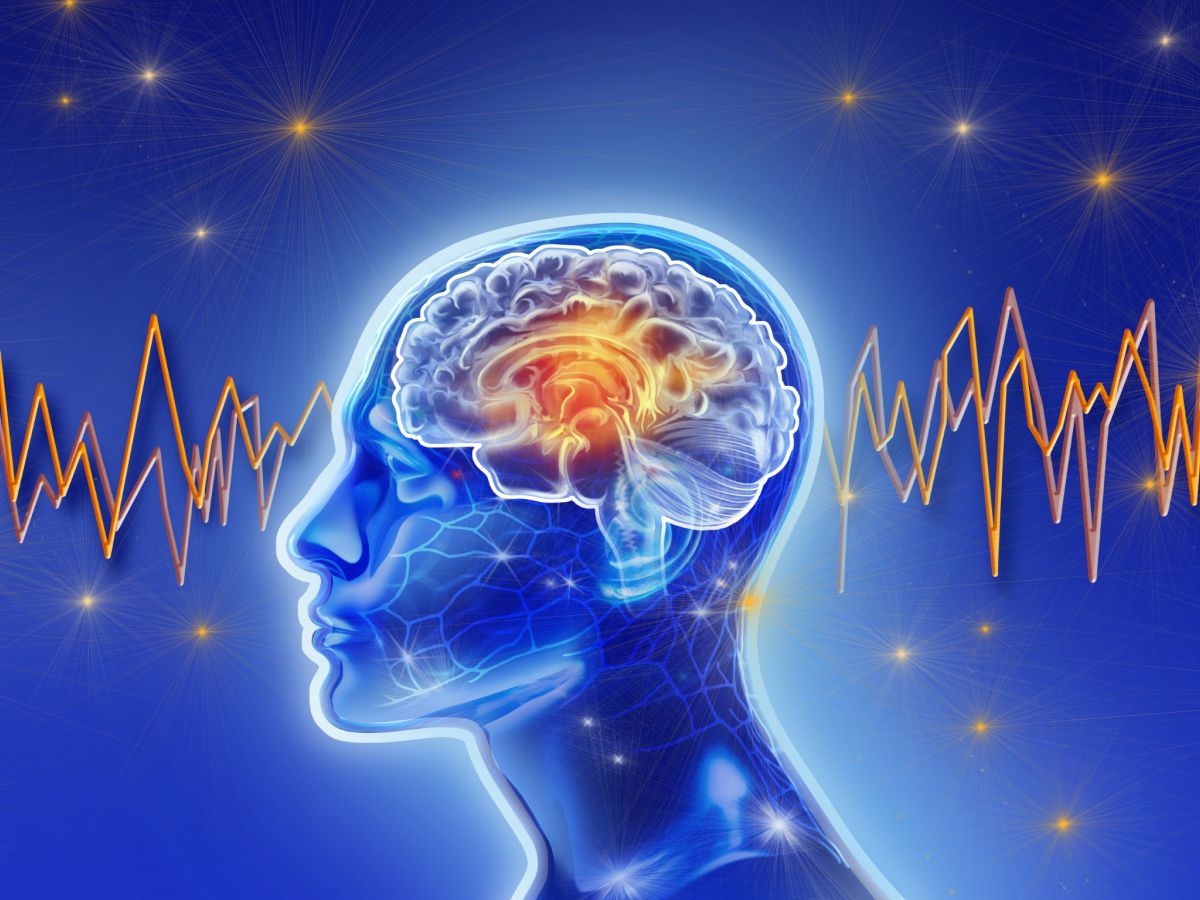 Why Does Your Mind Goes blank New Brain Scans Reveal The Surprising Answer Live Science Why Does Your Mind Goes blank New Brain Scans Reveal The Surprising Answer Live Science